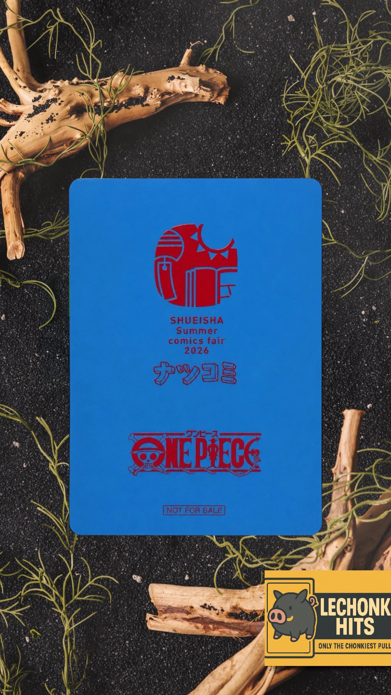One Piece NatsuComi 2026 Metakira Watermelon Luffy Promo Eiichiro Oda