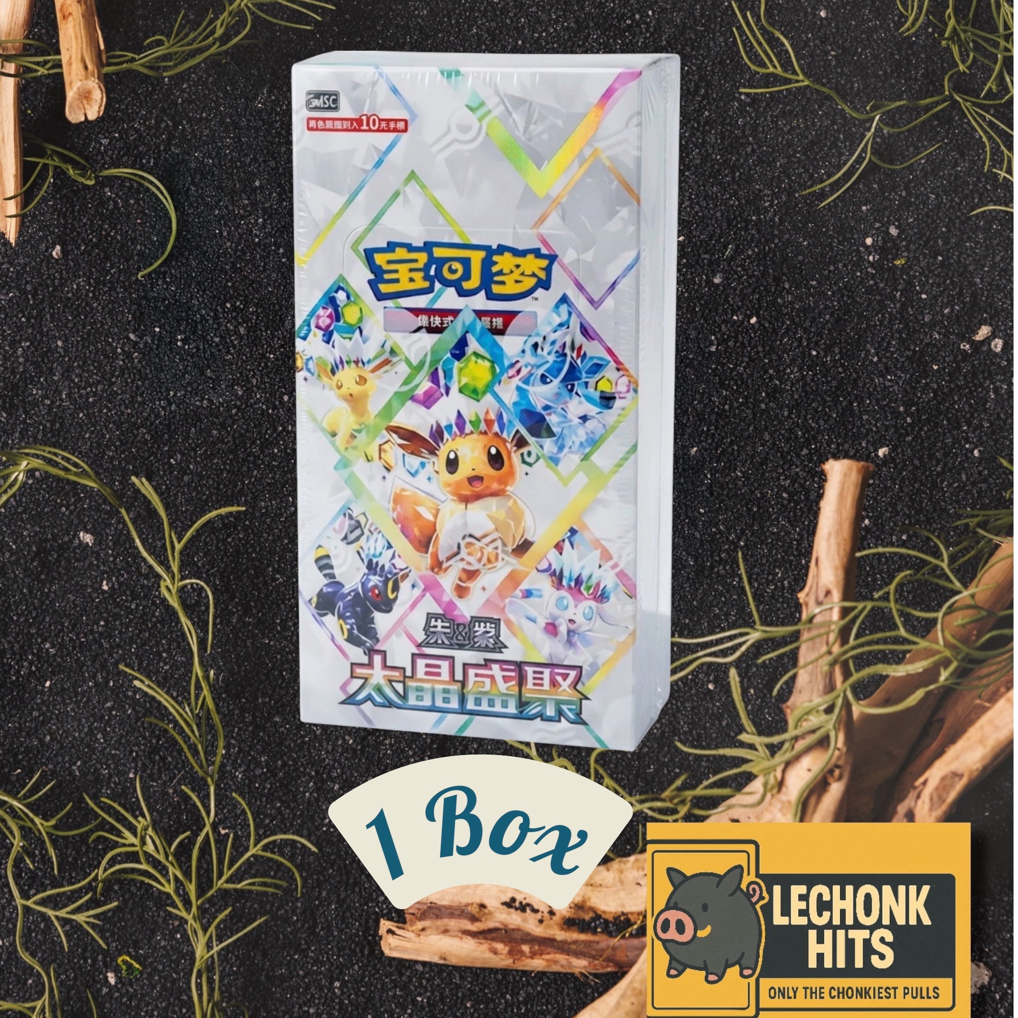 TERASTAL GATHERING POKEMON BOOSTER BOX - Chinese Exclusive